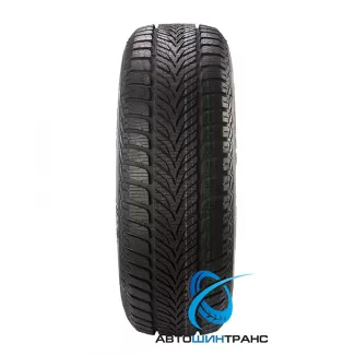 Eskimo HP 205/65R15 94T Sava