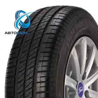 Sava Perfecta 195/65R15 91T