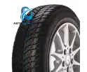 Росава Aqualine SQ-201 175/70R13 82T