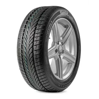 PointS Winterstar 4 225/50R17 98V