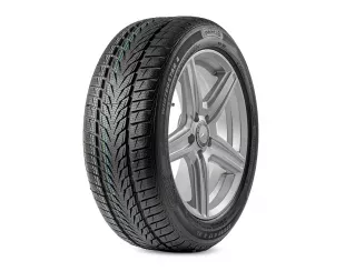 Winterstar 4 225/60R17 99H Point S