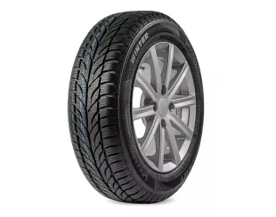 Paxaro Winter 225/50R17 98V XL FR