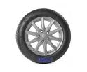 Lassa Revola 205/55R16 91V