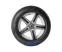 All Season 205/55R17 95V XL Tigar