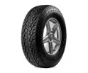 X-privilo RF06 245/75R16 120/116S Tracmax
